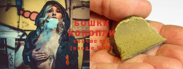 трава Корсаков